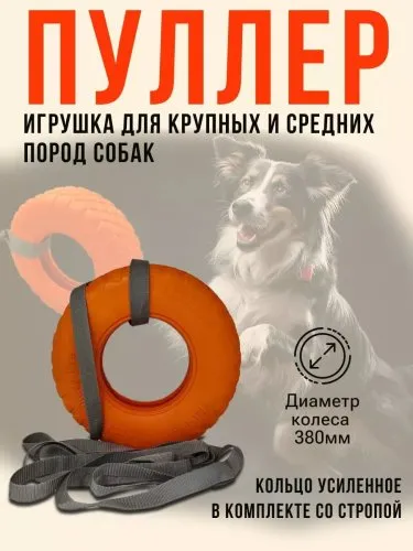 eggheads-241648256-1 - Обувь ЭВА для мужчин, женщин и детей от производителя Колесник