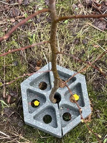 image-20-04-26-10-28-5 - Обувь ЭВА для мужчин, женщин и детей от производителя Колесник