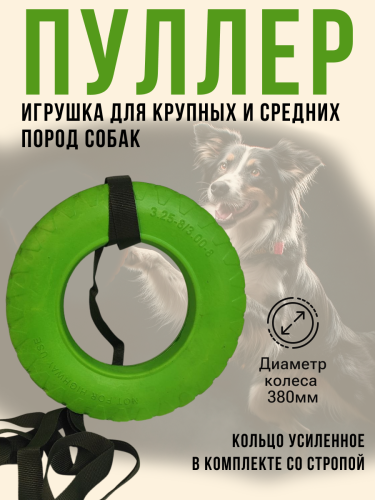 Frame 9 (20) - Обувь ЭВА для мужчин, женщин и детей от производителя Колесник