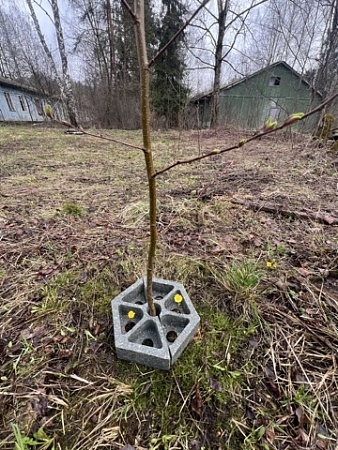 Защита ствола дерева - Обувь ЭВА для мужчин, женщин и детей от производителя Колесник