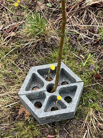 Защита ствола дерева - Обувь ЭВА для мужчин, женщин и детей от производителя Колесник