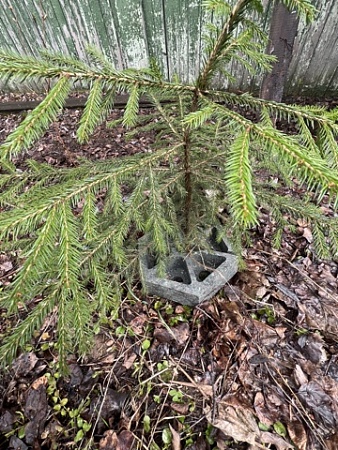 Защита ствола дерева - Обувь ЭВА для мужчин, женщин и детей от производителя Колесник