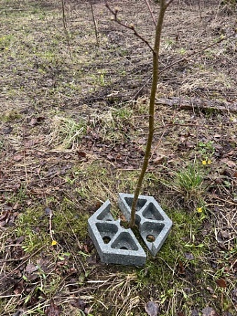 Защита ствола дерева - Обувь ЭВА для мужчин, женщин и детей от производителя Колесник