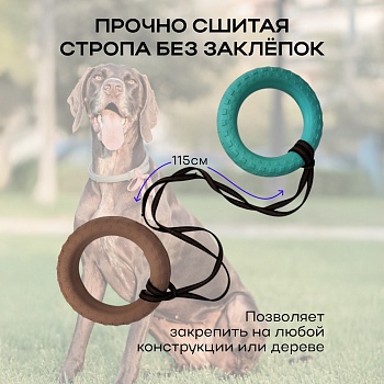 Игровой снаряд для собак Гантеля - Обувь ЭВА для мужчин, женщин и детей от производителя Колесник