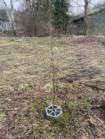 Защита ствола дерева - Обувь ЭВА для мужчин, женщин и детей от производителя Колесник