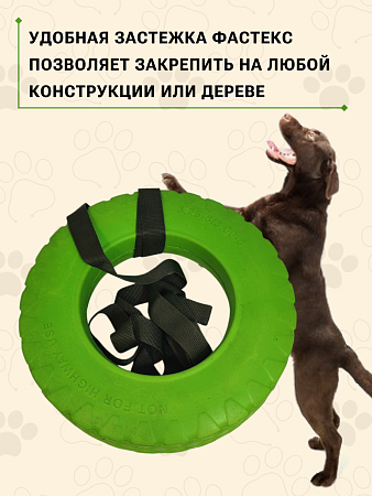 Игрушка для собак кольцо, цвет салатовый - Обувь ЭВА для мужчин, женщин и детей от производителя Колесник