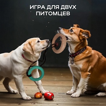 Игровой снаряд для собак Гантеля - Обувь ЭВА для мужчин, женщин и детей от производителя Колесник