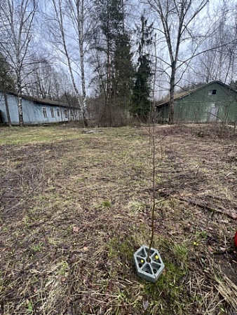 Защита ствола дерева - Обувь ЭВА для мужчин, женщин и детей от производителя Колесник