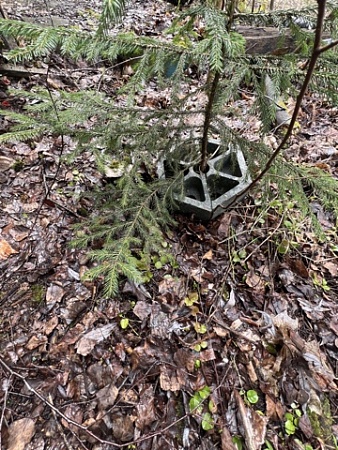 Защита ствола дерева - Обувь ЭВА для мужчин, женщин и детей от производителя Колесник